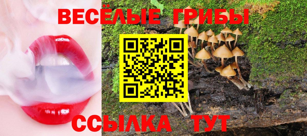 Красный Сулин  Псилоцибиновые грибы прущие грибы  Галлюциногенные грибы MAGIC MUSHROOMS  Вход с VPN 